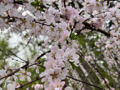 -长春市南湖公园