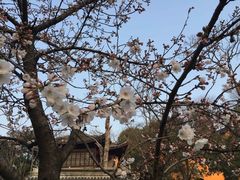 -南京城墙景区