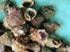 -沿海渔家院蒸汽海鲜·东北菜(东戴河店)