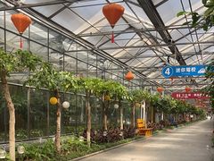 -南宫五洲植物乐园