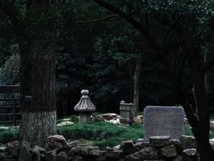 -灵谷景区
