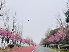 -艾溪湖湿地公园