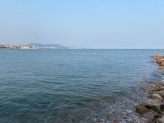 -小麦岛公园