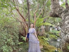 -Chom Cafe and Restaurant
