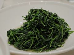 豌豆苗-丁老爷子苏香圆