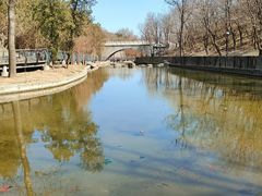 -白水寺森林公园