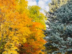 -长白岛森林公园