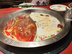 -袁老四重庆老火锅(桐梓坡店)