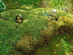-三千院