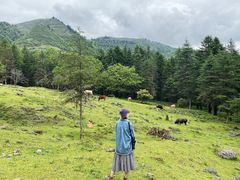 -硗碛藏寨·神木垒景区