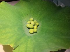 -桂语山房(满觉陇店)