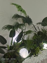 -HEYAN荷妍专业脱毛连锁机构