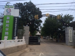 -那家山城(樱桃园店)