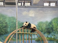 -杭州动物园