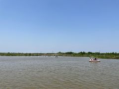 -宁波杭州湾国家湿地公园