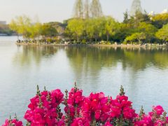 -Peet's Coffee皮爷咖啡(上海长风大悦城店)