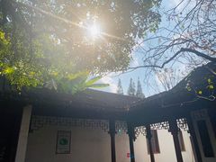 -秋霞圃