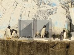 -成都浩海立方海洋公园