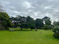 -墨尔本皇家植物园