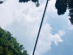 -川西竹海景区