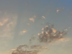 -宾朋海鲜特色美食餐厅·纯手工鲅鱼水饺(兴海路店)