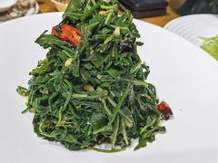 -十二毡房蒙餐·蒙古包