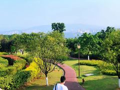 -铁山坪森林公园