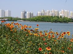 -石湖景区