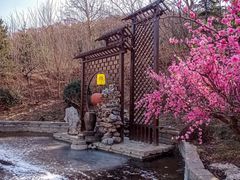 -威海华夏城景区