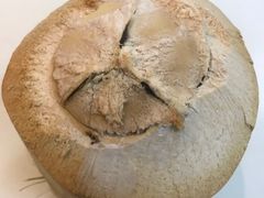 -志龙皇冠吃货椰子铺