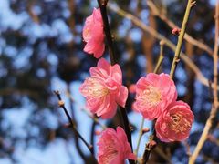 -桃花涧