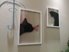 -藏猫猫咖啡主题馆(中央大道店)