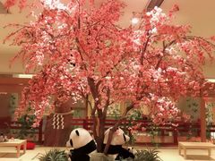 休闲区-大江户·温泉洗浴(浑南店)