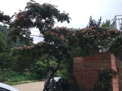 -葛子涧农家宴
