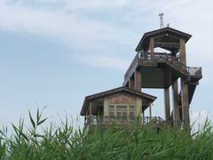 -野鸭湖国家湿地公园