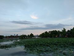 -长春市南湖公园