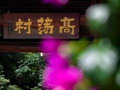 -高荡千年布依古寨旅游景区