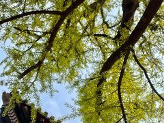 -红螺寺