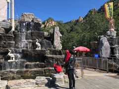 -大岭沟猕猴桃谷风景区