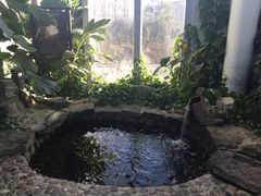 -中家鑫园温泉酒店鑫悦汤泉