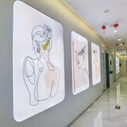 -金圣医疗美容