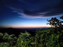 -武陵山森林公园