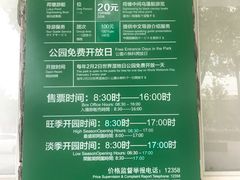 -荷塘月色湿地公园·向阳花洲