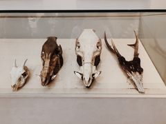 -优游吧斯邹族文化部落