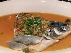 -凤凰湘语·湘粤鲜融(浦东旗舰店)