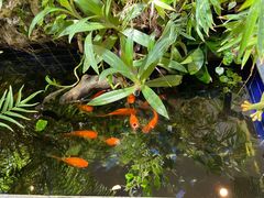 -希望齿科(河西店)