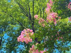 -白塘生态植物园