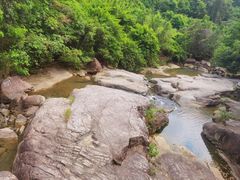 -广州白江湖森林公园