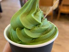 -雪绿茶博物馆