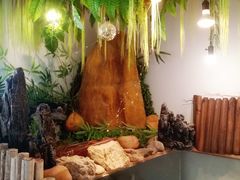 -70cat德文卷毛猫·缅因猫纯种猫舍